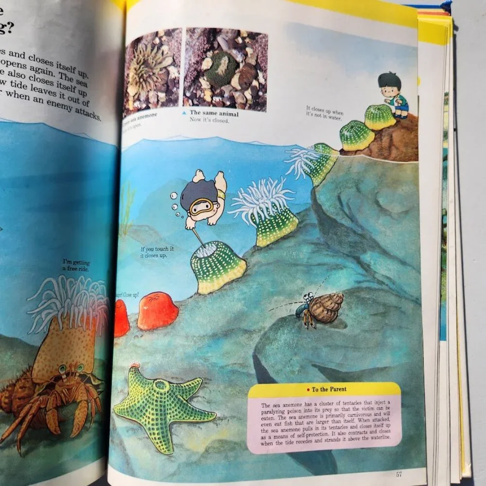Life in the Water Child's First Library of Learning Science Stem Book Homeschool